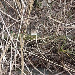 ニッチな隠れスポット