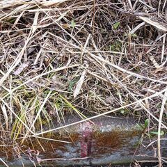 ニッチな隠れスポット