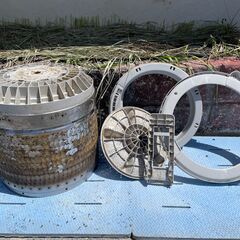 洗濯機の分解クリーニング行っています！配送設置込み2019年製ハイアール4.5K分解クリーニング済み　