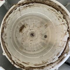 洗濯機の分解クリーニング行っています！配送設置込み2019年製ハイアール4.5K分解クリーニング済み　