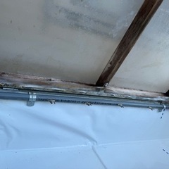 メダカ　加温ボックス　冬越し　冬の産卵用