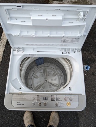 家電 生活家電 洗濯機