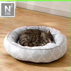 【新品】2️⃣猫用ベッド ニトリNクール