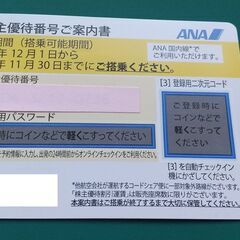 ANA　株主優待券　有効期限：2024年11月30日