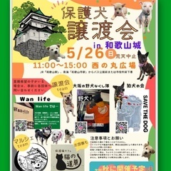 5/26(日) 保護犬譲渡会in和歌山城（西の丸広場）