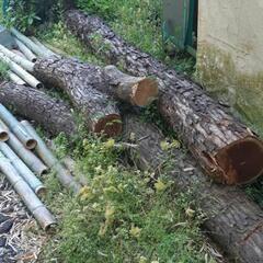 楢などの広葉樹