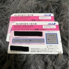 【ネット決済】ANA株主優待　郵送可能