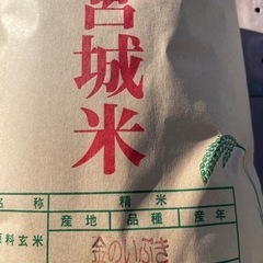 　玄米食専用「金のいぶき」玄米10kg
