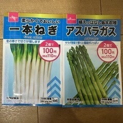 野菜の種