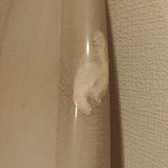 未使用WTW サーフボード