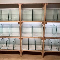 小型水槽24本+自作ラック