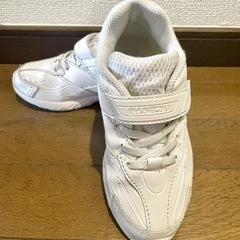 瞬足　19cm EE スニーカー　ホワイト　白　幅広　運動靴　S...