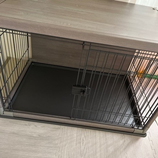 犬　\nゲージ