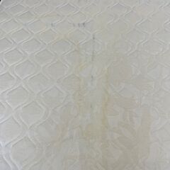 【決定】magniflex　マニスポーツ（D）