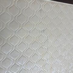 【決定】magniflex　マニスポーツ（D）