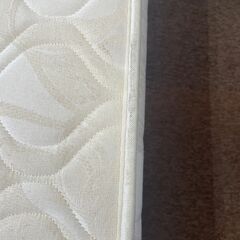 【決定】magniflex　マニスポーツ（D）