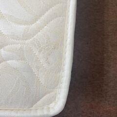 【決定】magniflex　マニスポーツ（D）