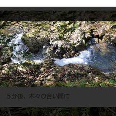 5月19日　龍頭が滝に一緒に行かれる方募集します。 - 松江市