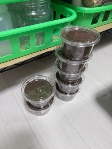 生活雑貨 家庭用品 キッチン雑貨