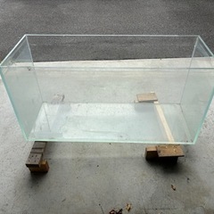 水槽　ガラス　　熱帯魚