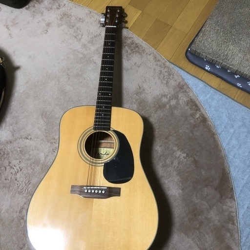 ファリダ　アコースティックギター　レア？