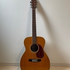 【終了】ギター(ケース/カポ/ピック付)