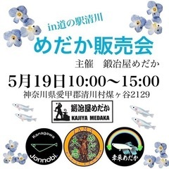 5月19日(日)清川道の駅　メダカイベントの画像