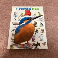 小学館の図鑑NEO 鳥