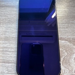 iphone13promax  256GB 