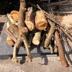 剪定枝🌲木材や薪として