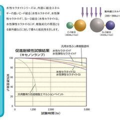 早いもの勝ち‼】最高級フッ素塗料【新品未使用】