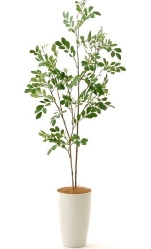 フェイク観葉植物