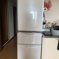 大型冷蔵庫　370ml