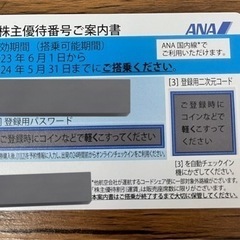 【ネット決済・配送可】2024.05.31有効期限【ANA株主優待】