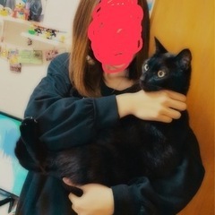 黒猫ちゃん - うるま市