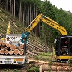 高性能林業機械オペレーター - 京都市