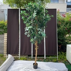 f●■①フェイクグリーン【ベンジャミン】大型200cm・人工樹木...