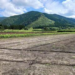 16000坪の広大な物件 - 不動産