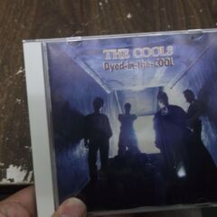Dyed-in-the-COOL COOLS ザ・クールス