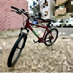 【ネット決済】GIANT  SNAP 自転車