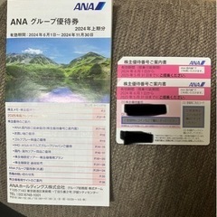 ANA株主優待チケット　2枚セット