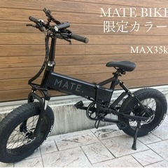 MATE BIKE 日本未販売　MAX35km