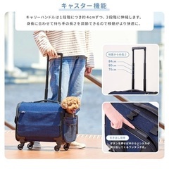 【OFT】ブロッサムリュックキャリー