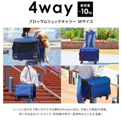 【OFT】ブロッサムリュックキャリー