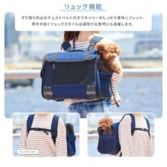 【OFT】ブロッサムリュックキャリー