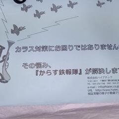 カラス撃退 カラス退治 カラス対策 からす鉄砲隊 新品 からす撃退