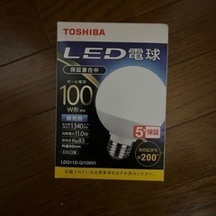 LED電球　100w E26口