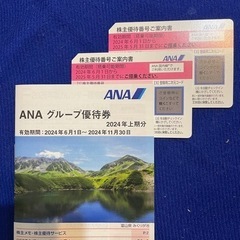 ANA株主優待番号2枚 と 優待券冊子1冊(20枚)