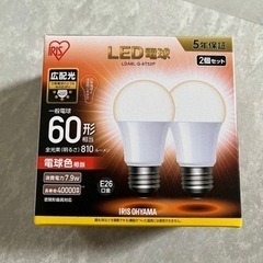 広配光　LED電球1個