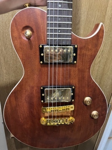 弦楽器、ギター ARIAPROII PE-MAHO II/G
